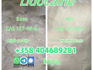 CAS 137-58-6 Lidocaine Factory Supply High Purity Safe Delivery