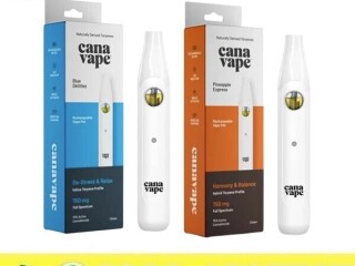 Canavape Full Spectrum CBD Disposable Vape In Sheikhupura03001597757