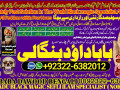 no1-astrologer-black-magic-expert-specialist-in-saudia-arab-black-magic-expert-specialist-in-dubai-black-magic-expert-in-amercia-92322-6382012-small-0