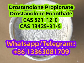 Drostanolone Enanthate Masteron CAS 13425-31-5 521-12-0 58-19-5