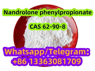 Nandrolone phenylpropionate CAS 62-90-8 Nandrolone3-phenylpropionate