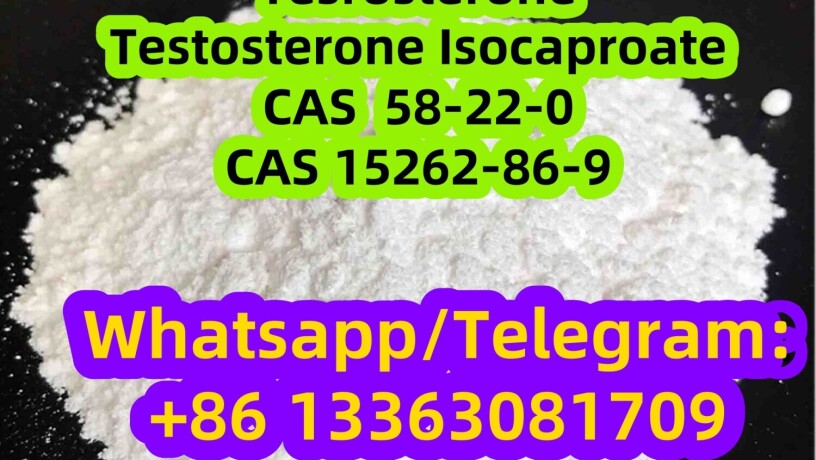 estosterone-cas-58-22-0-cas-15262-86-9-testosterone-isocaproate-big-0