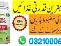 asquared-nutrition-panax-in-lahore-03210006111-small-0