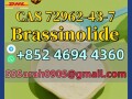 naturalcas72962-43-7plant-growth-regulator-brassinolide-small-0