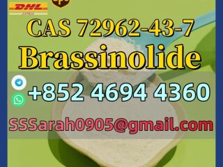 NaturalCAS72962-43-7Plant Growth Regulator Brassinolide