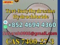 cas7400-27-3tert-butylhydrazine-hydrochloride-pesticide-small-0