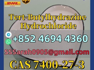 CAS7400-27-3Tert-Butylhydrazine Hydrochloride Pesticide