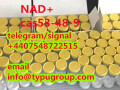 sell-nad-cas53-84-9-telegramsignal4407548722515-small-0