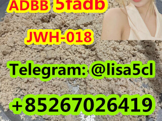 5cl-adb Powder 5cl Adb 5cl 5cladba 5cl Raw Materials at Best Price