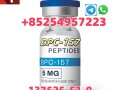 137525-51-0-bpc-157-910463-68-2-semaglutide-2023788-19-2-tirzepatide-small-0