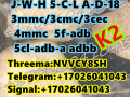 nm-694-erhylone-dibutylone-ethylone-bk-edbp-a-pvp-small-9