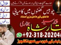 google-no-1-kala-jadu-expert-03182020463-amil-baba-in-pakistan-small-0