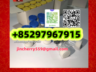 Semaglutide	910463-68-2 	  Tirzepatide	2023788-19-2 	 	 	 	 	 	 Retatrutide	2381089-83-2 	 MT-Ⅱ	121062-08-6 Ipamorelin	170851-70-4