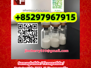 Retatrutide	2381089-83-2 	 	 	 MT-Ⅱ	121062-08-6 Ipamorelin	170851-70-4