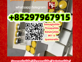 Semaglutide	910463-68-2 	 	 	 	 	 Tirzepatide	2023788-19-2 	 	 	 	 	 	 AOD-9604	221231-10-3