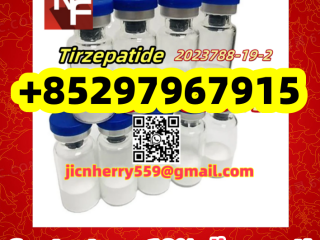 Tirzepatide	2023788-19-2 	 	 	 	 	 	 Retatrutide	2381089-83-2 	 	 	 MT-Ⅱ	121062-08-6