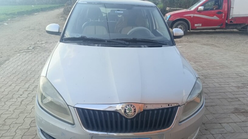 skoda-fabya-2012-big-1