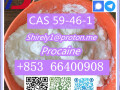 cas-59-46-1-procaine-with-high-quality-hot-sale-stock-small-1