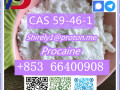 cas-59-46-1-procaine-with-high-quality-hot-sale-stock-small-3