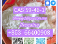 cas-59-46-1-procaine-with-high-quality-hot-sale-stock-small-0