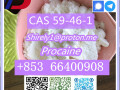 cas-59-46-1-procaine-with-high-quality-hot-sale-stock-small-2