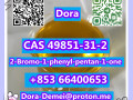 2-bromo-1-phenyl-pentan-1-one-cas-49851-31-2-small-8