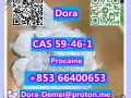 procainecas-59-46-1-small-6