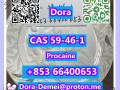 procainecas-59-46-1-small-9