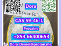 procainecas-59-46-1-small-2