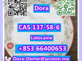 lidocainecas-137-58-6-small-9