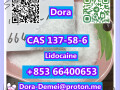 lidocainecas-137-58-6-small-0