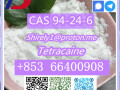 cas-94-24-6-tetracaine-high-quality-hot-sale-stock-small-8