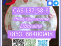 cas-137-58-6-lidocaine-high-quality-good-price-small-7