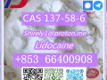 cas-137-58-6-lidocaine-high-quality-good-price-small-9