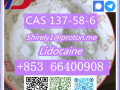 cas-137-58-6-lidocaine-high-quality-good-price-small-8