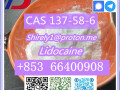 cas-137-58-6-lidocaine-high-quality-good-price-small-1