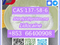 cas-137-58-6-lidocaine-high-quality-good-price-small-5