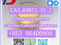 cas-49851-31-2-high-quality-2-bromo-1-phenyl-1-pentanone-small-1