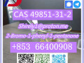 cas-49851-31-2-high-quality-2-bromo-1-phenyl-1-pentanone-small-8