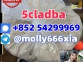 5cladba-sgt151-sgt78-6cladba-4cladba-2cladba-sell-5cl-5cladbb-5fadb-4fadb-china-supplier-small-0