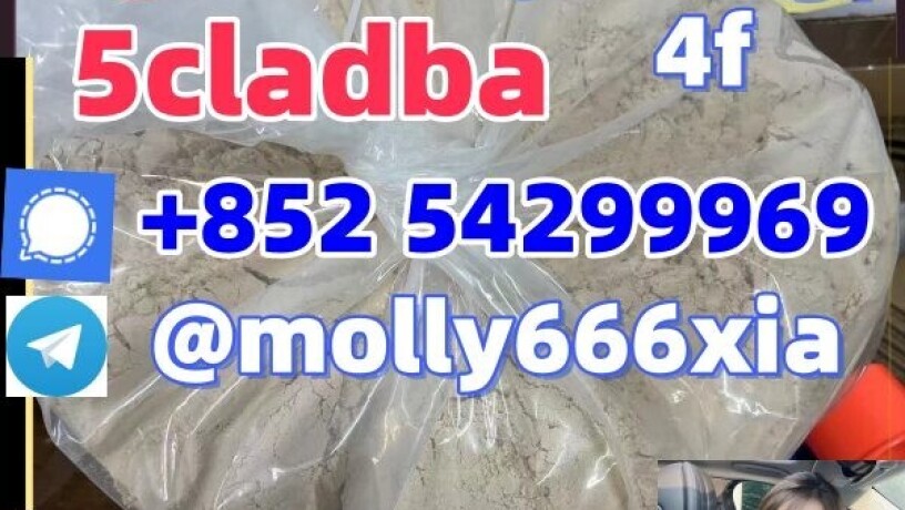 5cladba-sgt151-sgt78-6cladba-4cladba-2cladba-sell-5cl-5cladbb-5fadb-4fadb-china-supplier-big-0