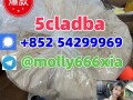 5cladba-precursor-powder-5cl-adbb-5cl-adb-a-6cl-adb-a-4fadb-small-0