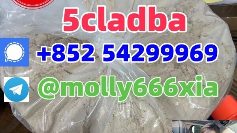 5cladba-precursor-powder-5cl-adbb-5cl-adb-a-6cl-adb-a-4fadb-big-0