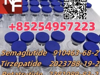 910463-68-2 Semaglutide 2023788-19-2 Tirzepatide 77591-33-4 TB-500