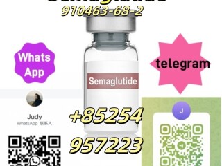 910463-68-2 Semaglutide 137525-51-0  BPC-157 2381089-83-2 Retatrutide