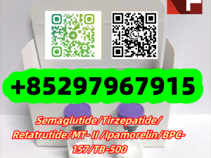 Retatrutide	2381089-83-2 	 	 	 TB-500	77591-33-4 	 	 PT-141 	189691-06-3