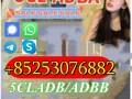 adbb-5cladba-precursor-4cl-ad-bb-5f-adb-2cladb-6cl-adba-2f-dck-apvp-small-4