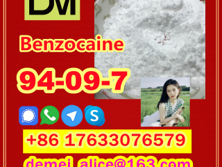 Manufacturer Supply Raw Material CAS 94-09-7 Benzocaine