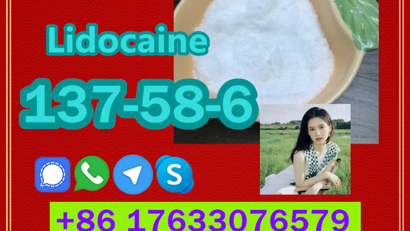 manufacturer-supply-raw-material-cas-137-58-6-lidocaine-big-7