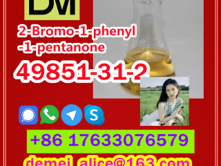 CAS 49851-31-2 2-Bromo-1-phenyl-1-pentanone